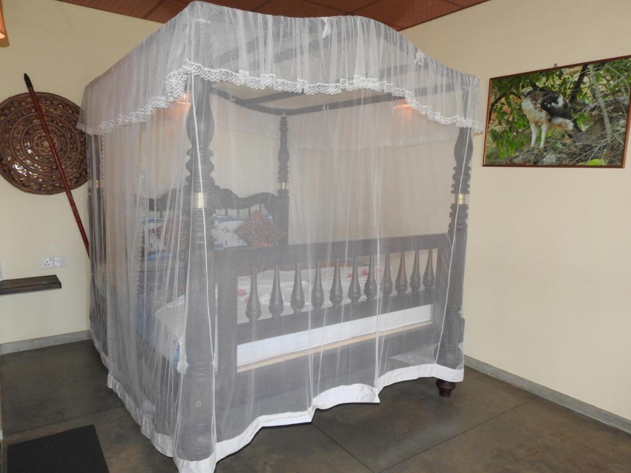 טנגלה Eagles Nest Cabanas מראה חיצוני תמונה